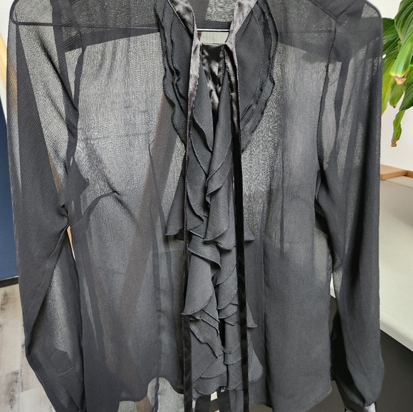 The limited satin translucent blouse - Picture 6 of 8